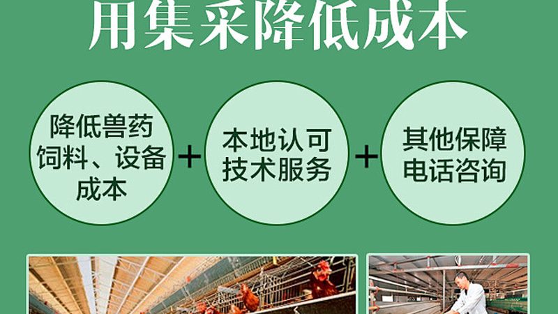 双抗亲和力检测：方法对比与选择指南