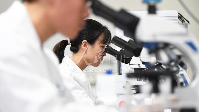 基因检测结果的等待时间揭秘：影响因素与优化建议