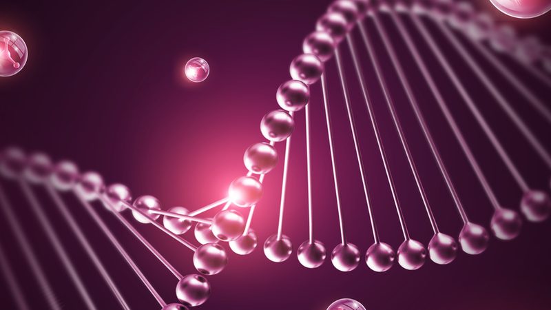 参数解析：关键指标识别