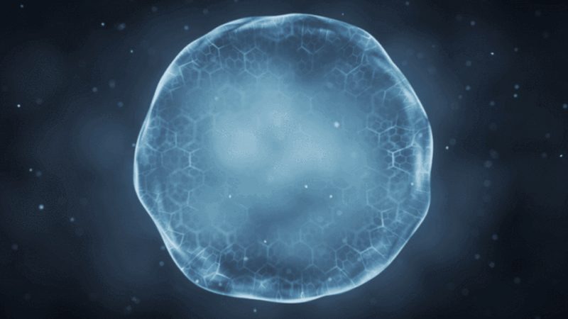 生物制品质量控制参数检测设备主要分为以下几类：