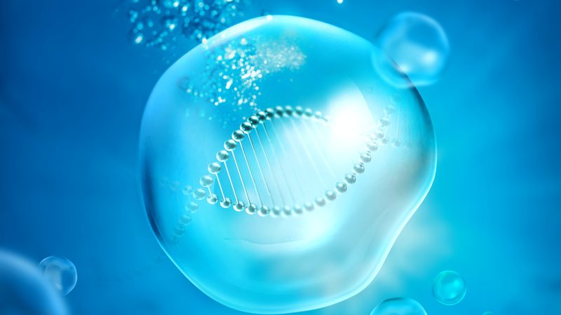 生物科技公司采购清单：如何构建高效采购策略**