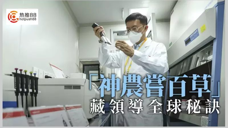 一次性细胞培养瓶材质分类：关键特性与选择指南