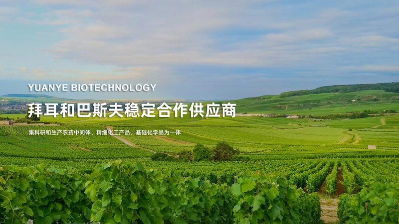 微生物培养基与细胞培养基，选错一步影响全局