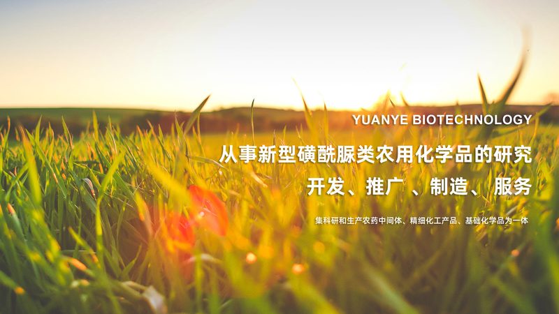 引物合成后如何选择纯化方式