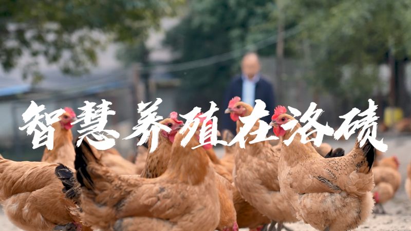 一次性反应器在生物医药领域的应用与选择要点